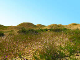 Description: Madinat Hamad 1 Burial Mound Field. Author: Melanie Münzner. Copyright: © Think Heritage. Source: UNESCO